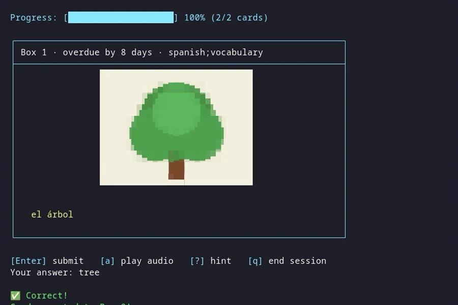 FlashTerm review showing a Spanish vocabulary card, typed answer, and correct result
